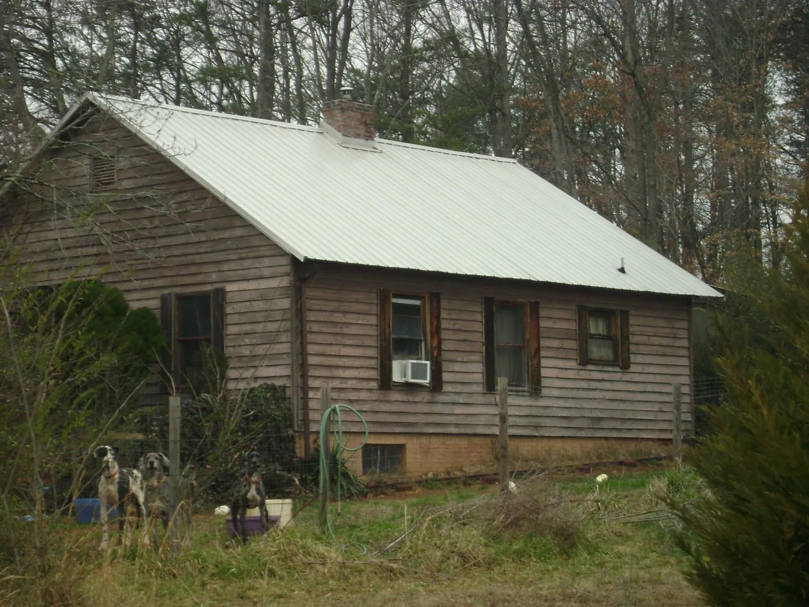 White metal roof on an old wood sided farmhouse, from a Asphalt Shingle Roof Repair job in Westfir